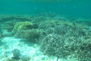 f0190653_11532227.jpg