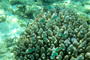 f0190653_11543929.jpg