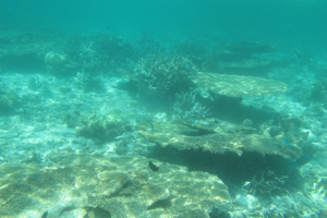 f0190653_11591643.jpg