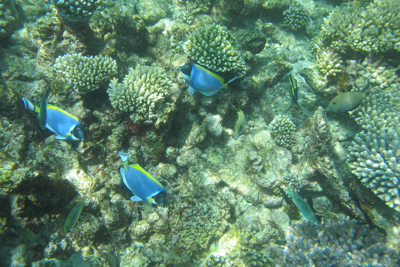 f0190653_11593014.jpg