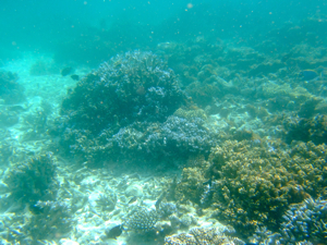 f0190653_2139261.jpg
