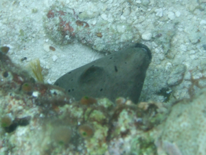 f0190653_21392936.jpg