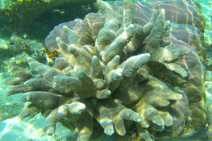 f0190653_2145394.jpg