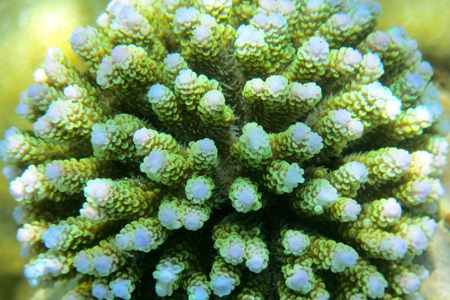 f0190653_21485325.jpg