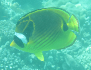 f0190653_2150390.jpg