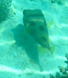 f0190653_21522027.jpg