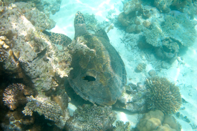 f0190653_21583977.jpg