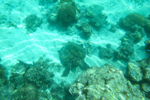 f0190653_2158428.jpg