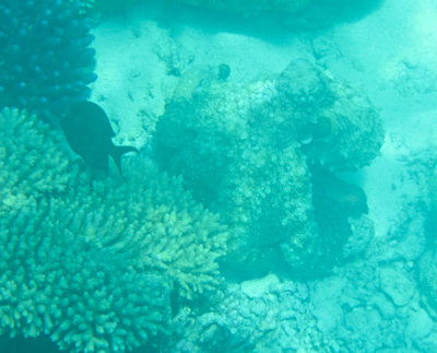 f0190653_2159337.jpg