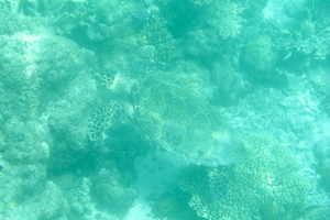 f0190653_2159339.jpg