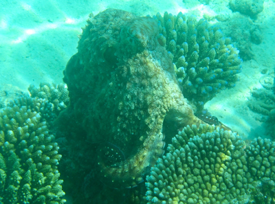 f0190653_21594587.jpg