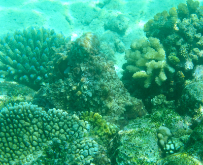 f0190653_21595334.jpg