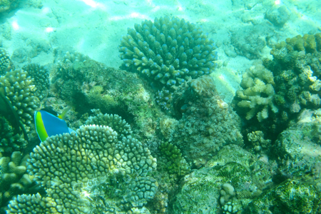 f0190653_21595639.jpg