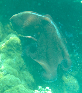 f0190653_223412.jpg