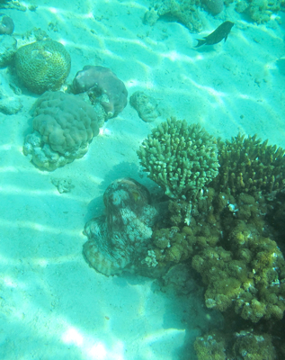 f0190653_223578.jpg