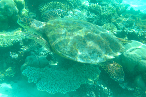 f0190653_2241449.jpg