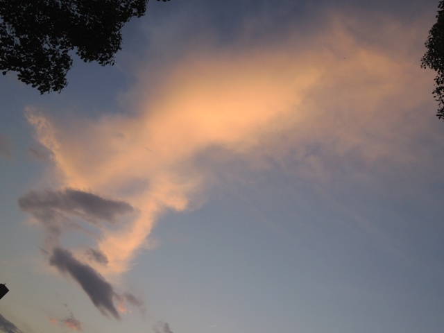 b0173754_2223452.jpg
