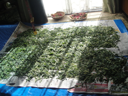 c0108460_16463165.jpg