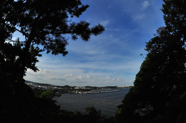 e0020166_8102985.jpg