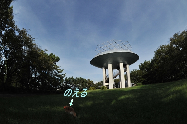 e0020166_8114926.jpg