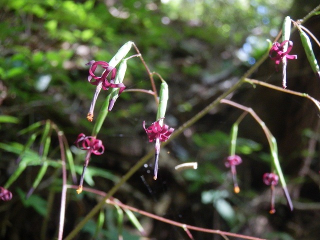 c0042869_112014100.jpg