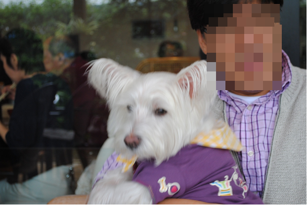 b0242873_845814.png