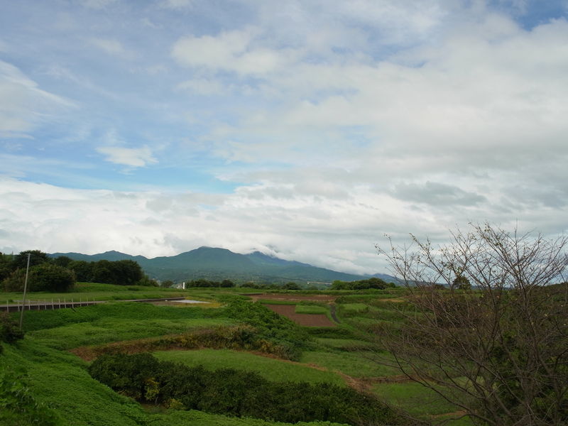 c0177576_1941459.jpg