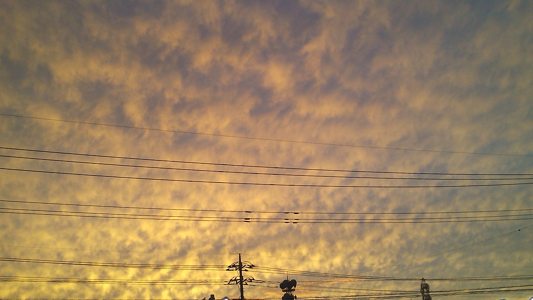 e0249878_22191110.jpg
