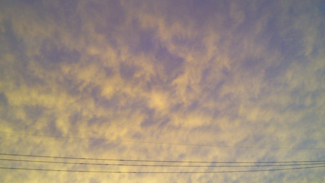 e0249878_22302498.jpg