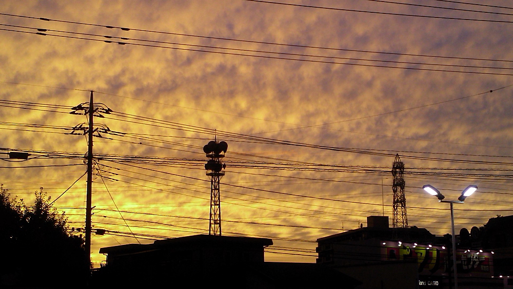e0249878_22304551.jpg