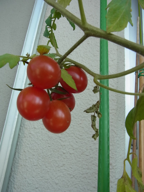 f0014980_0224543.jpg