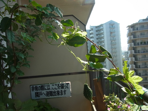 f0014980_022784.jpg