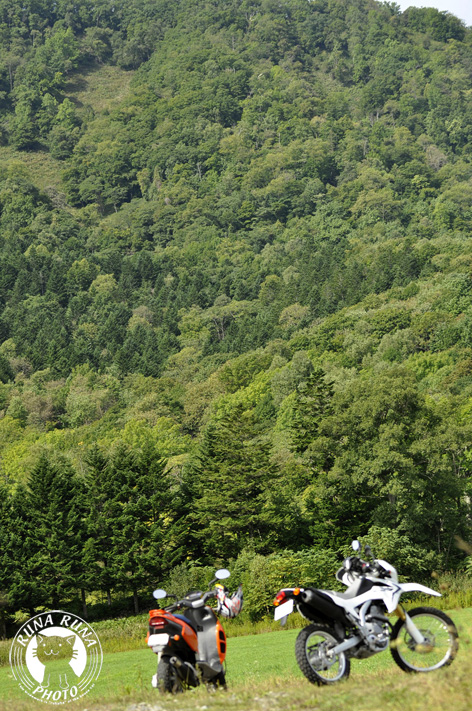 f0210380_152196.jpg