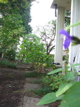 f0039281_1638286.jpg
