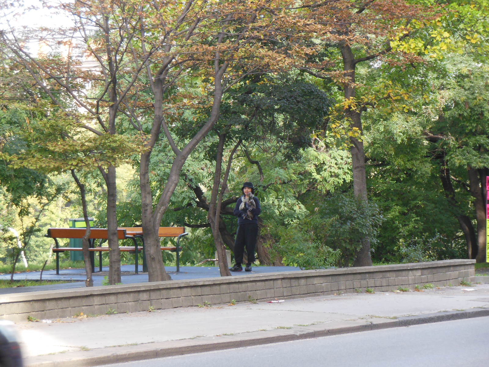 a0080183_333259.jpg