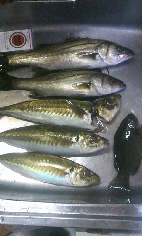 f0191888_22244613.jpg