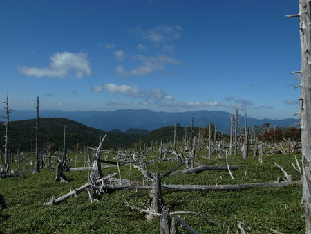 e0271890_20564282.jpg