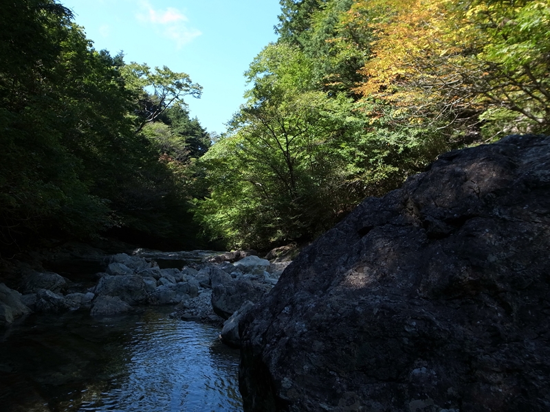 e0271890_21471127.jpg