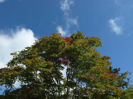 e0271890_2194664.jpg