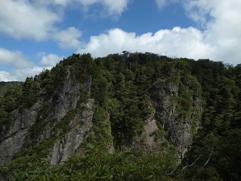 e0271890_23372357.jpg