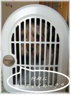 b0232891_14324834.png