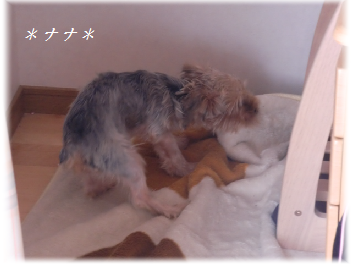 b0232891_14513268.png