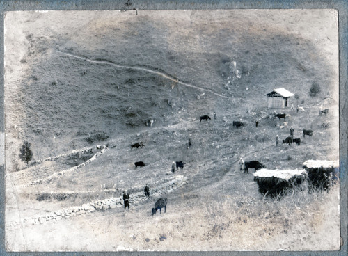 c0118495_2224510.jpg