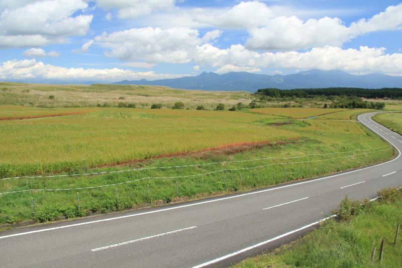 a0188405_834016.jpg