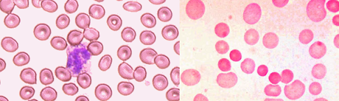 b0112009_6532713.png