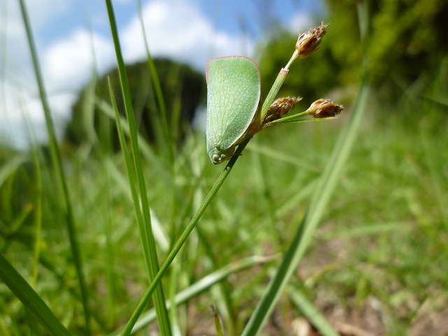 d0037110_19103763.jpg