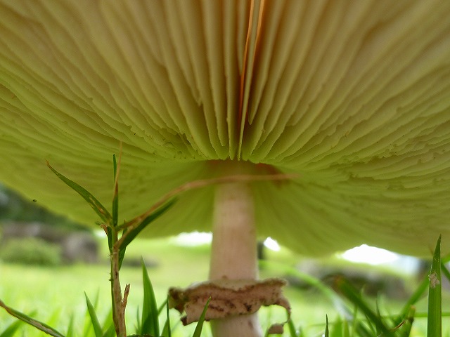 d0037110_19165585.jpg