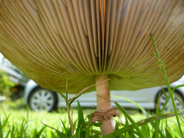 d0037110_19174777.jpg
