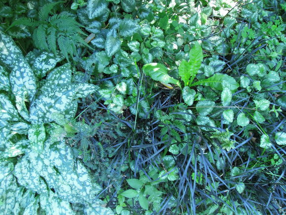 e0242423_645536.jpg