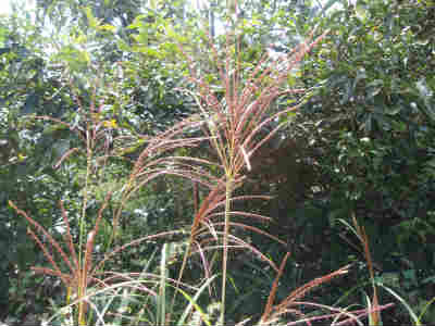 b0008825_13243072.jpg